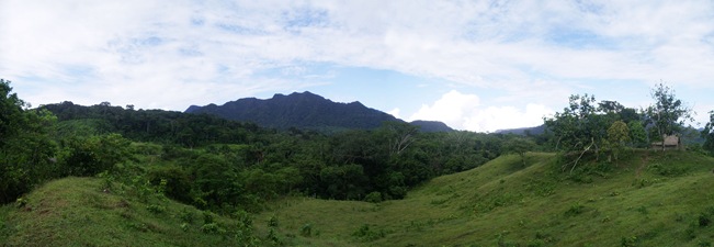 panorama8