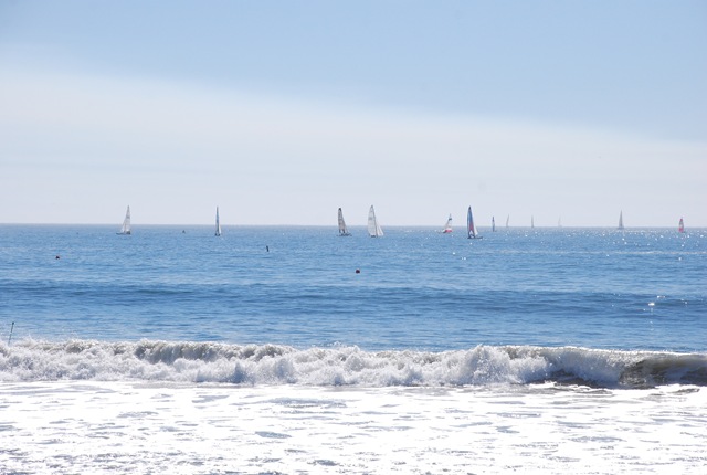 DSC_0245
