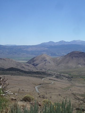 IMGP8501