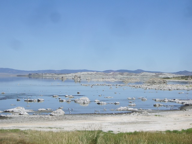 IMGP8534