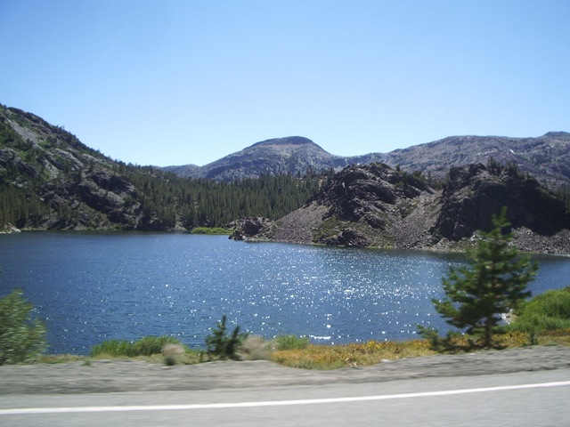 IMGP8556