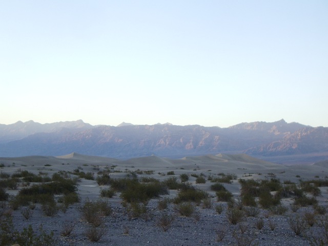 IMGP8675