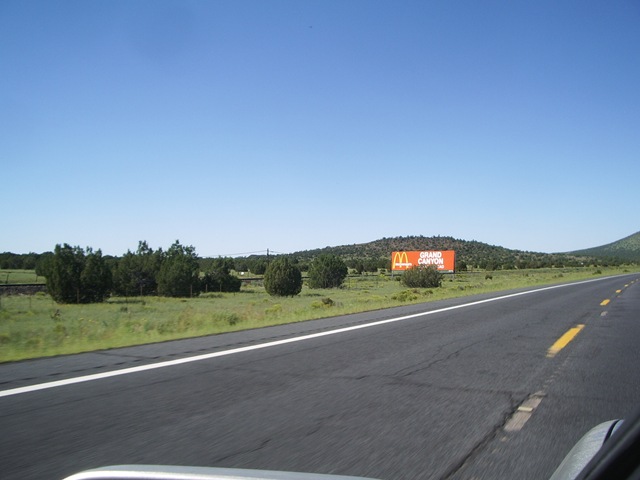 IMGP8732