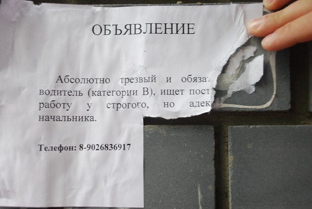 DSC_0805 DSC_0805