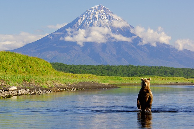 Bear and Kronotsky Volcano